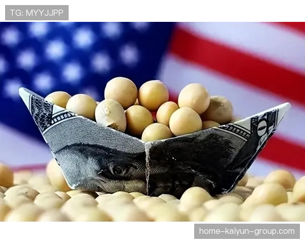 商务部谈大豆与波音:产业链稳定不能被政治干扰,大豆的贸易 商务部谈大豆与波音:产业链稳定不能被政治干扰,大豆的贸易